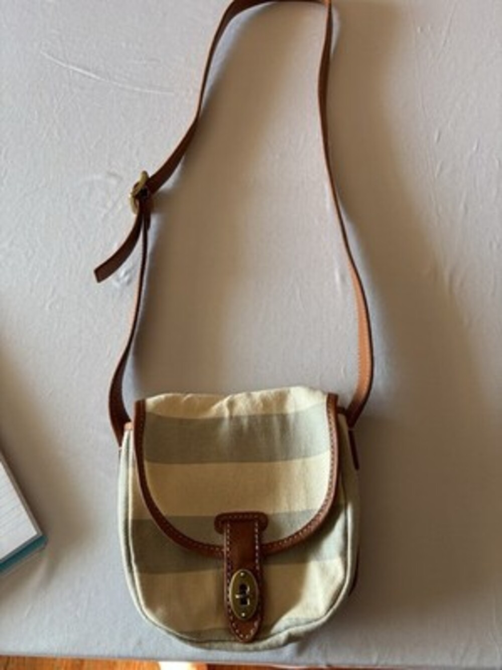 fossil small canvas crossbody bag